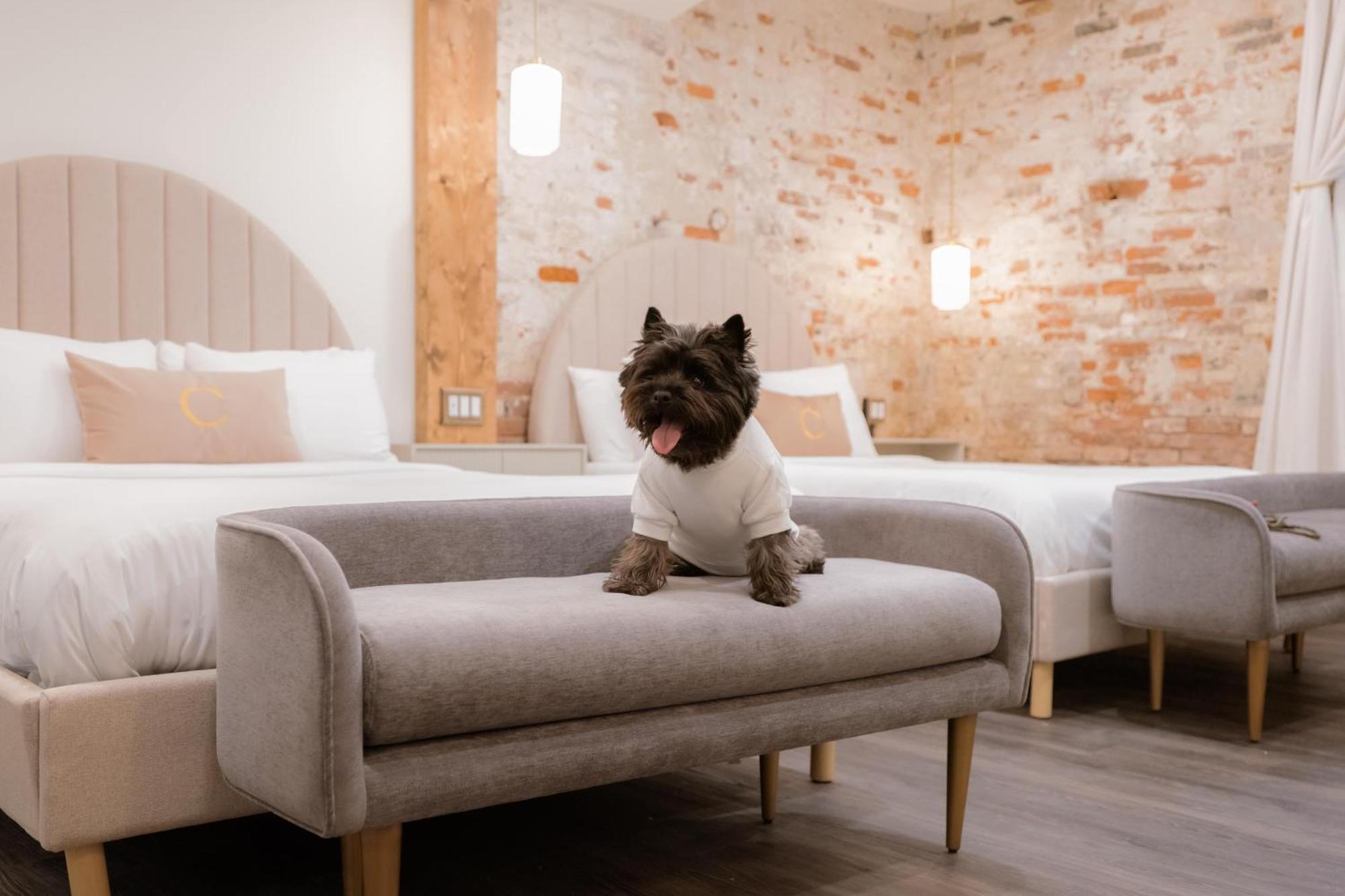 The Chandler Hotel マディソン エクステリア 写真
